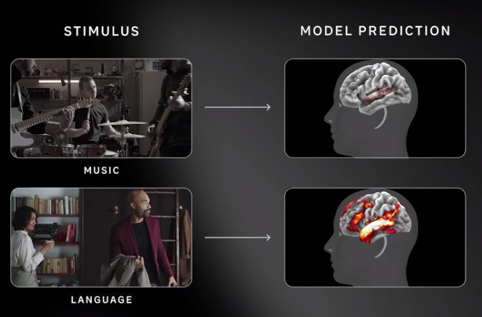 Meta випустила ШІ-модель людського мозку